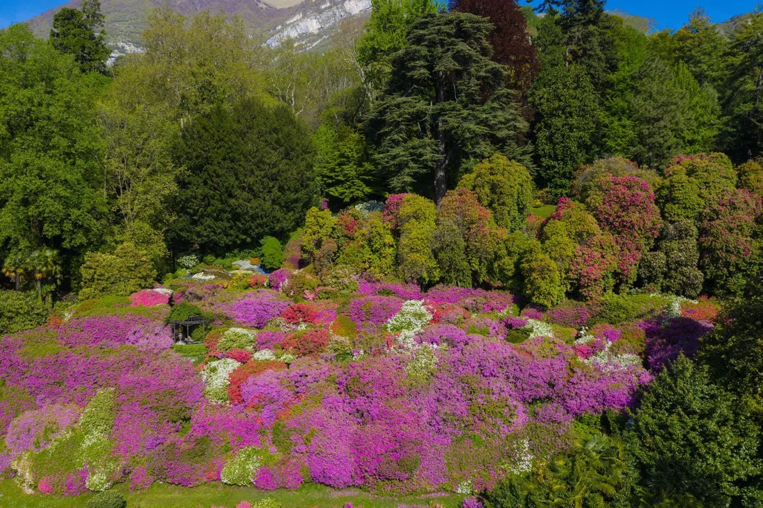 Villa Carlotta, Milan